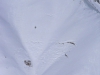 sdc13272