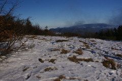 Kľak december 2020