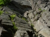 spina11