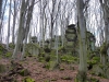 kt08