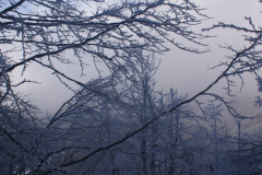 Predvianočný Minčol a po novoročný Kľak