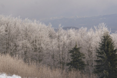 Predvianočný Minčol a po novoročný Kľak