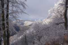 Predvianočný Minčol a po novoročný Kľak