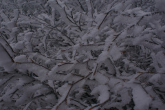 Predvianočný Minčol a po novoročný Kľak