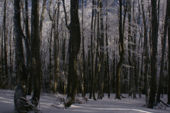 Predvianočný Minčol a po novoročný Kľak