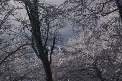 Predvianočný Minčol a po novoročný Kľak