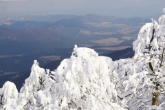 Strážov 2021